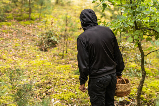Hooded person carrying a woven basket through sunlit green woodland with mossy ground and autumn foliage, viewed from behind in a forest foraging scene