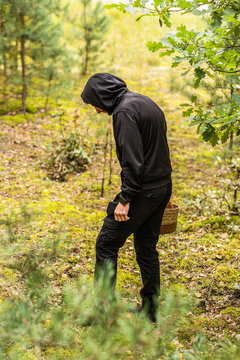 Hooded person carrying a wicker basket while walking through sunlit deciduous woodland with green foliage, moss, and tall grass in a vertical outdoor forest scene