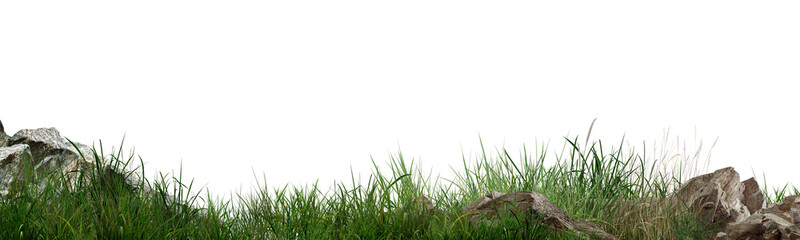 grass on white background/Sharp detailed green grass and natural rocks isolated on a clean white background, ideal for nature and landscape designs. © Saharattaphum