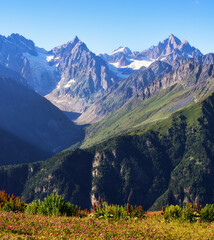 Obraz premium Colorful summer view of alpine meadows at the foot of Tetnuldi peak. Georgia, Europe. Boutdoors scene of Caucasus mountains.
