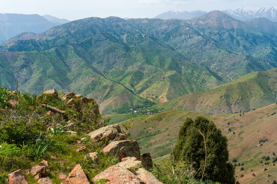 Chatkal mountain ridges in late April, Yangiabad town below