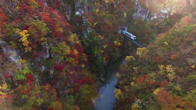 宮城県 紅葉の鳴子峡を通り抜ける列車 空撮ドローン映像 Aerial Shot of Autumn Colors Train at Naruko Gorge, Miyagi Japan 