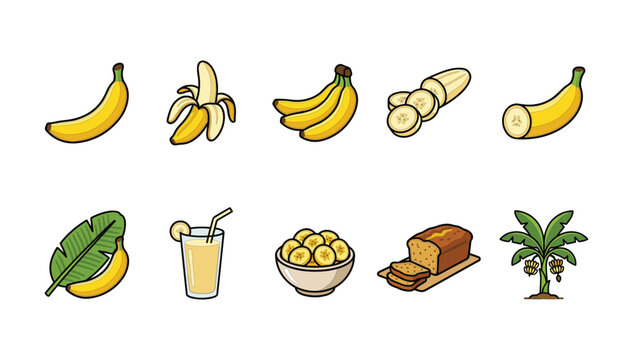 Flat vector illustration set featuring organic banana fruit products from single bananas to bread slices and plant elements