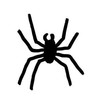Isolated spider creepy drawing. Hand-drawn object. Black doodle style sketch. Simple spider for Halloween designs.