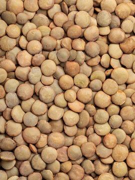 Close-up texture of dry green lentils, food background of legumes, top view