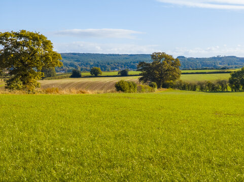 Idyllic rural English landscape with green meadow under a blue sky on a sunny day