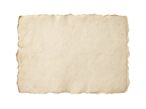 Aged Paper Texture: A rustic, torn piece of parchment paper showcases its unique texture and aged quality, ready to be filled with memories or a timeless message.
