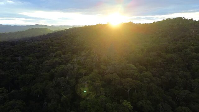 Aerial view above forested tropical hills as bright golden sunlight breaks over the horizon and creates a warm lens flare. The peaceful landscape evokes wilderness, natural beauty and conservation.