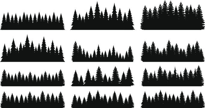 Forest Silhouette Vector Set Pine Tree Borders and Woods Horizons