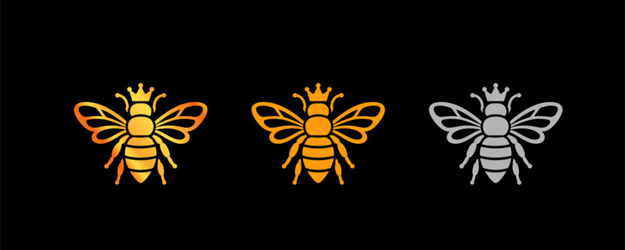 5000x2000