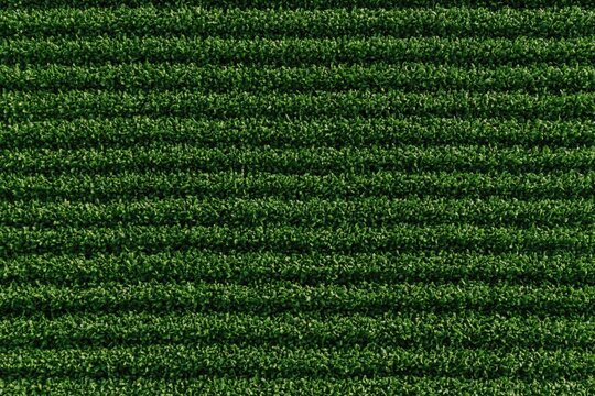 Artificial turf grass background with green synthetic texture and parallel horizontal lines pattern