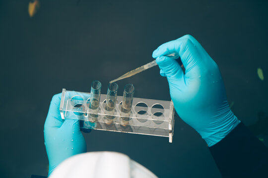 Environmental researchers testing river water samples to assess contamination.