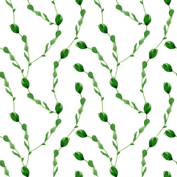 Watercolor seamless pattern with green leafy vines on a white background PNG