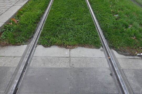 Rails de tramway encastr&eacute;s dans une plateforme en gazon et en pav&eacute;s