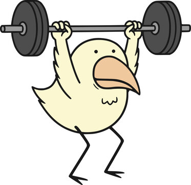 Funny strong bird lifting a heavy barbell with impressive muscular power draw