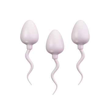 3D Human Sperm Cells Fertilization