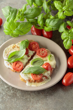 Hot open sandwiches with mozzarella, tomatoes and basil.
