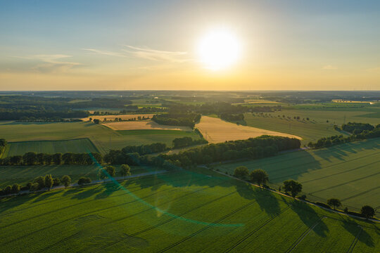 Crop plantation at farm. Agriculture and cultivation. Aerial top view on green crop field. Nature environment. Green harvest in field. Summer green field. Agricultural aerial landscape