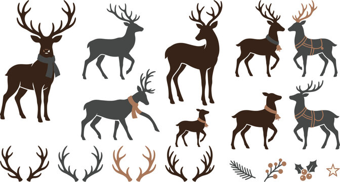 A collection of majestic deer illustrations and antlers perfect for winter designs isolated on transparent background