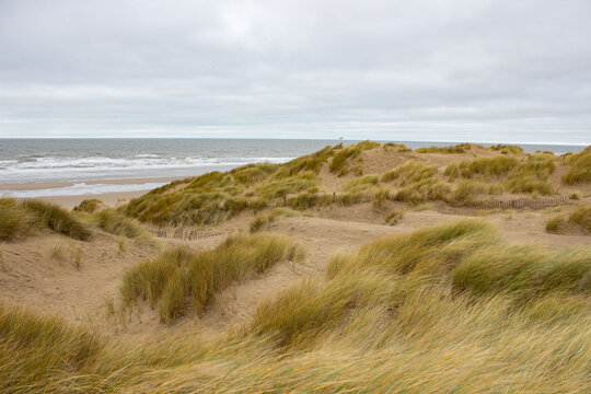 Sans Dunes at Formby Coast