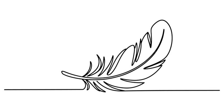 Continuous single line drawing of a simple bird feather