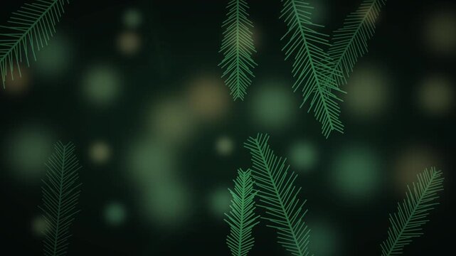 Abstract dark green background with falling pine needles and bokeh lights for festive holiday themes