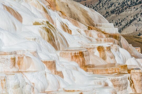 Sinter terraces with calcareous tuff deposits, hot springs, colorful mineral deposits, Palette Springs, Lower Terraces, Mammoth Hot Springs, Yellowstone National Park, Wyoming, USA