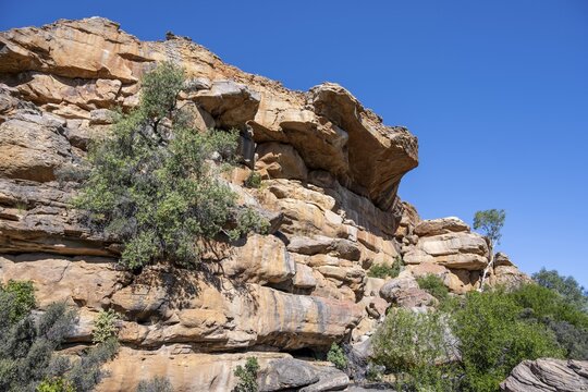 Landscape, rocks of the Seville Rock Art Trail, Cedar Mountains, Clanwilliam, Western Cape, Republic of South Africa