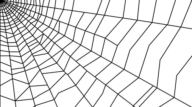 Minimalist black spider web geometric line pattern on a clean white background.