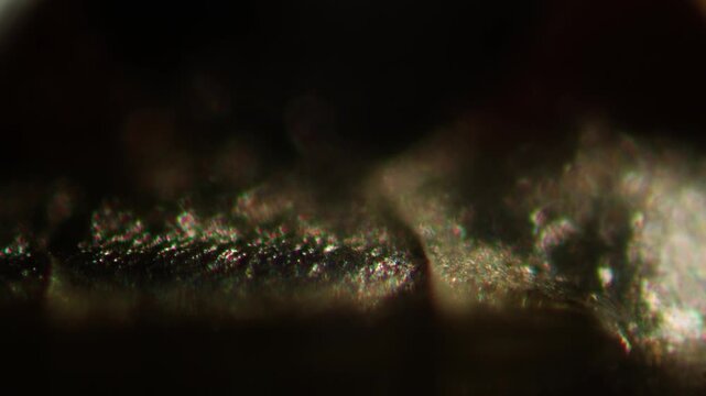 Microscope Macro Close-up Shot of Microchip, CPU Processor on Printed Circuit Board, Computer Motherboard with Components Inside of Electronic Device, Part of Supercomputer microscop.