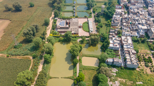 Aerial view of a fishing farm with multiple ponds, surrounding agricultural fields, and nearby residential buildings in Punjab, Pakistan.