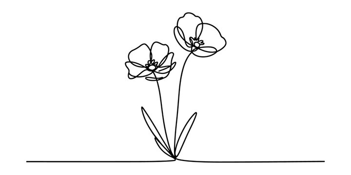 Two beautiful flowers drawn with a single continuous black line art style