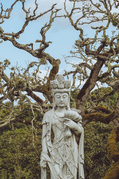 Serene Buddhist Statue Surrounded by Gnarly Trees at Bacalhoa Buddha Eden, Portugal
