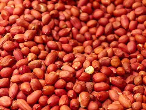 Full frame close-up shot of raw shelled peanuts with red skin