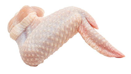 Raw chicken wing with skin and bone, isolated on transparent background © isong