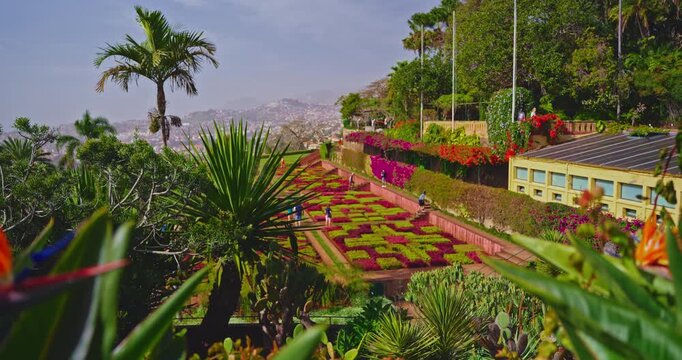 Aerial view of a beautiful flowerbed with a pattern of blooming flowers, created by human hands in a botanical garden