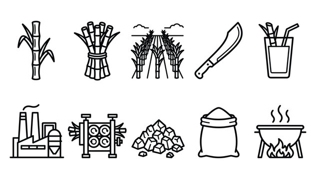 Minimalist black outline sugarcane agriculture and traditional sugar processing industry icon set featuring crop harvesting symbols