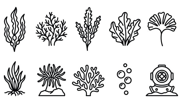Minimalist black outline underwater ocean icons set featuring diverse seaweed species corals bubbles and vintage diving helmet