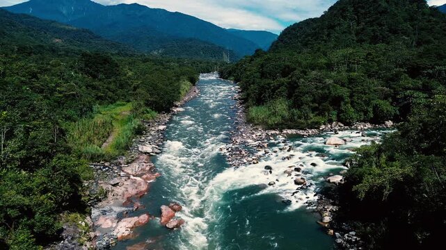 Aerial view of a fast mountain river splitting into rocky channels around dense vegetation. Whitewater rapids, forested slopes and distant peaks form a dramatic landscape of wilderness, freshwater eco