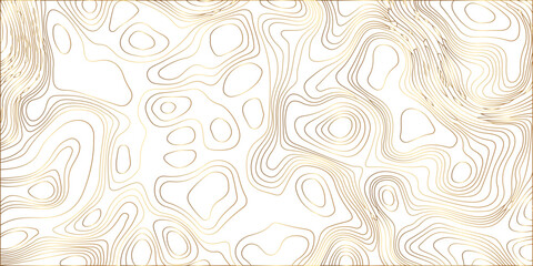 Topographic map abstract gold lines vector contour pattern background for luxury geographic design. Abstract wavy lines with a golden hue, perfect for backgrounds and design elements. © Vectlis Arts