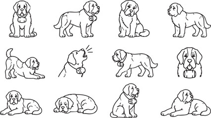 Obraz premium Saint Bernard dog breed outline icons set in various poses