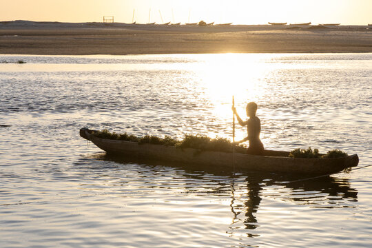 Vezo man poling a canoe of seaweed at sunset, Belo sur Mer, Madagascar