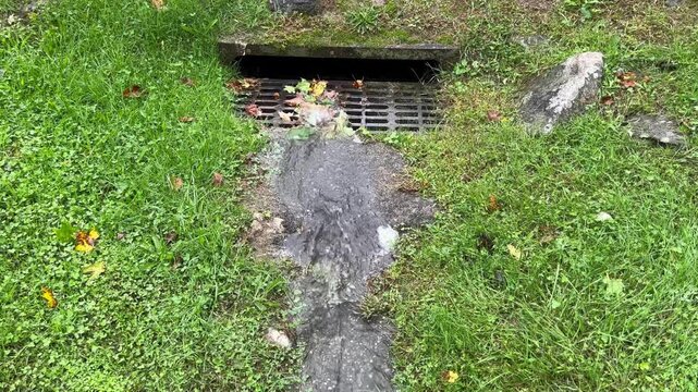 Rainwater runoff flowing into metal storm drain grate in grass