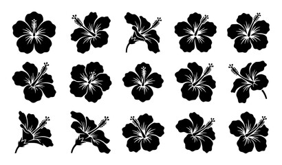 Collection of black hibiscus flower silhouettes in various arrangements and perspectives © BEGUM