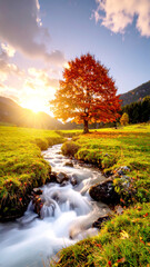 Obraz premium Herbstlandschaft mit leuchtendem Baum im goldenen Sonnenlicht