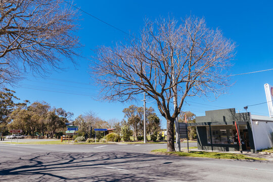 Main Street intersection with prominent bare tree in small town of Welshpool Australia