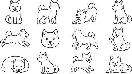 Obraz premium Shiba Inu dog poses set black and white line art