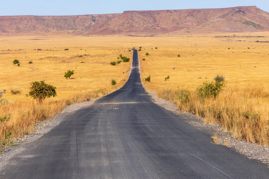 Empty road crossing golden savanna, Isalo, Madagascar