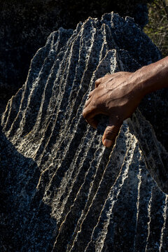 Hand touching sharp tsingy limestone ridges, Petit Tsingy, Madagascar