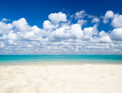 beach and beautiful tropical sea